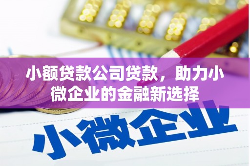 黄石港小额贷款公司贷款，助力小微企业的金融新选择