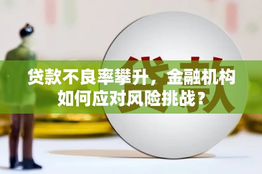 黄石港贷款不良率攀升，金融机构如何应对风险挑战？