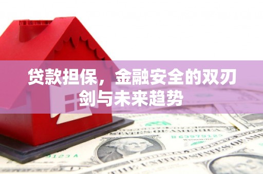 黄石港贷款担保，金融安全的双刃剑与未来趋势