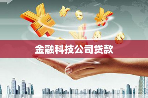 黄石港金融科技公司贷款