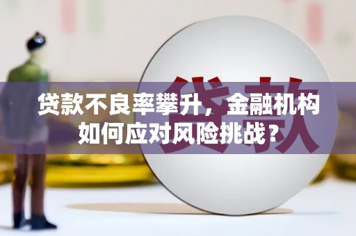 黄石港贷款不良率攀升，金融机构如何应对风险挑战？