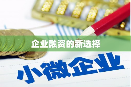 黄石港企业融资的新选择
