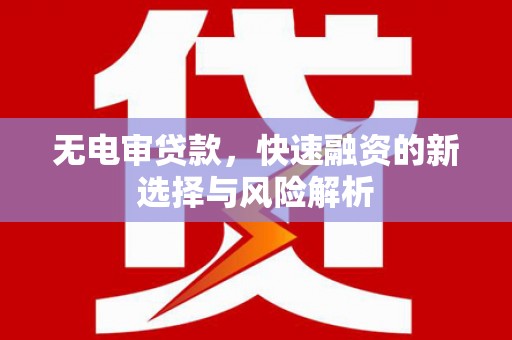黄石港无电审贷款，快速融资的新选择与风险解析