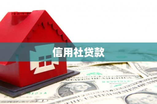 黄石港信用社贷款
