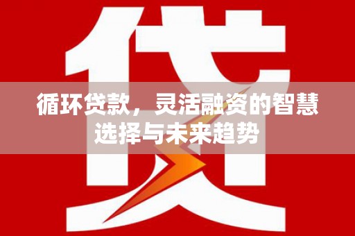 黄石港循环贷款，灵活融资的智慧选择与未来趋势