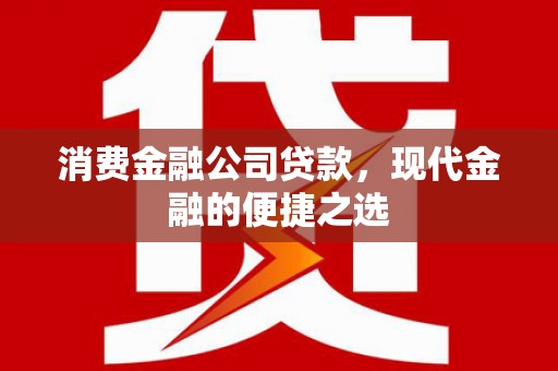 黄石港消费金融公司贷款，现代金融的便捷之选