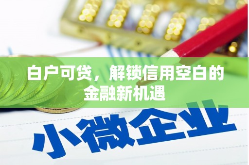 黄石港白户可贷，解锁信用空白的金融新机遇