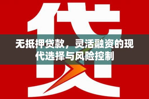 黄石港无抵押贷款，灵活融资的现代选择与风险控制