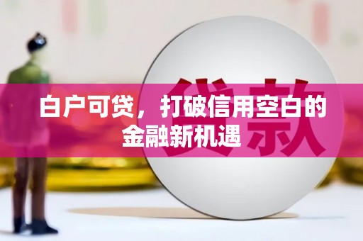 黄石港白户可贷，打破信用空白的金融新机遇