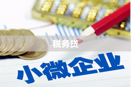 黄石港税务贷