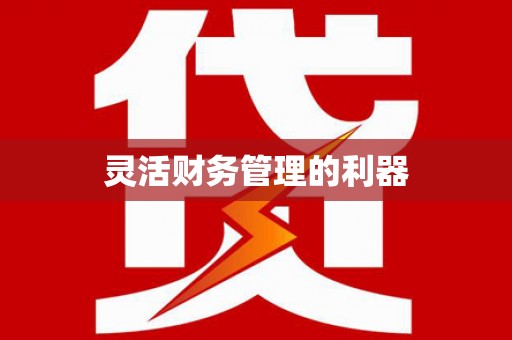 黄石港灵活财务管理的利器