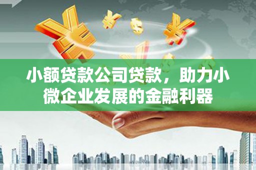 黄石港小额贷款公司贷款，助力小微企业发展的金融利器
