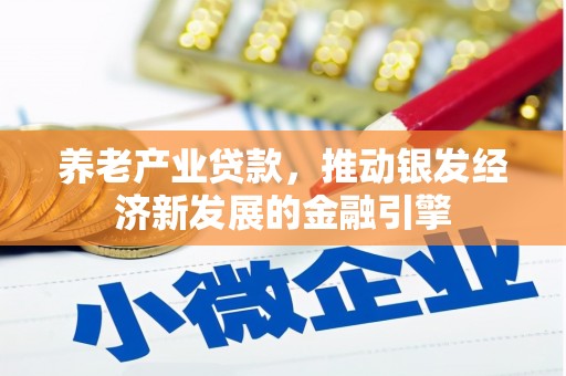 黄石港养老产业贷款，推动银发经济新发展的金融引擎