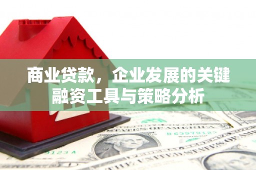 黄石港商业贷款，企业发展的关键融资工具与策略分析