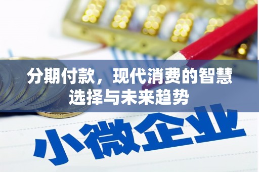 黄石港分期付款，现代消费的智慧选择与未来趋势