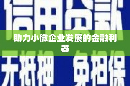 黄石港助力小微企业发展的金融利器