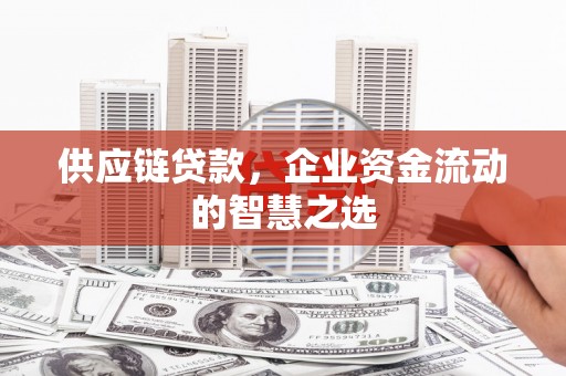 黄石港供应链贷款，企业资金流动的智慧之选