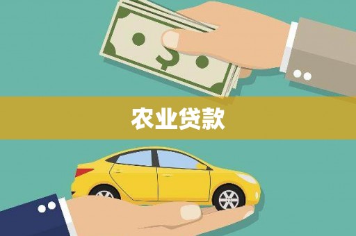 黄石港农业贷款