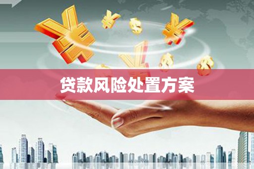 黄石港贷款风险处置方案
