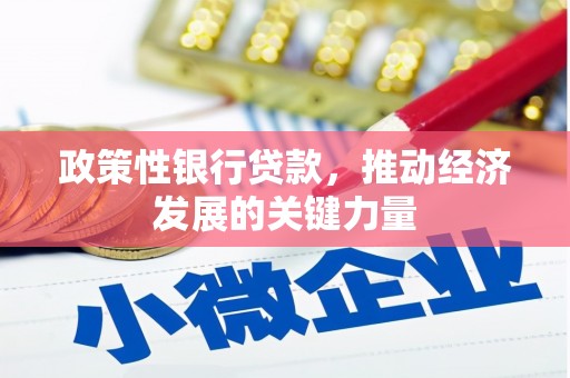 黄石港政策性银行贷款，推动经济发展的关键力量
