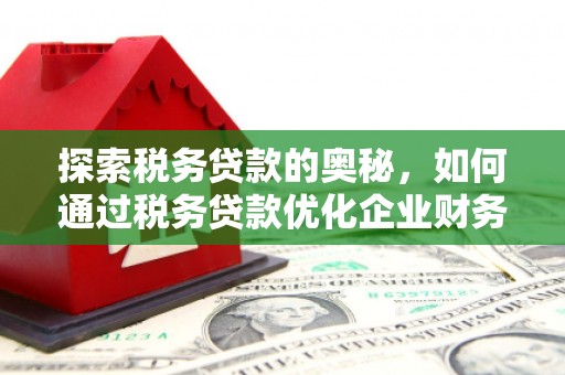 黄石港探索税务贷款的奥秘，如何通过税务贷款优化企业财务