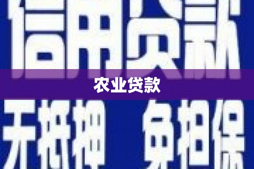 黄石港农业贷款