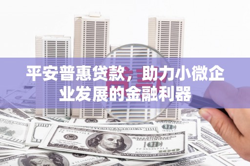 黄石港平安普惠贷款，助力小微企业发展的金融利器