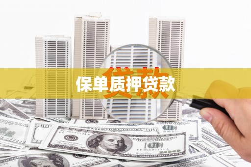 黄石港保单质押贷款