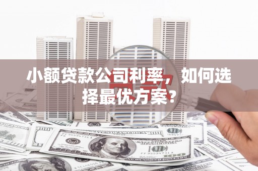 黄石港小额贷款公司利率，如何选择最优方案？