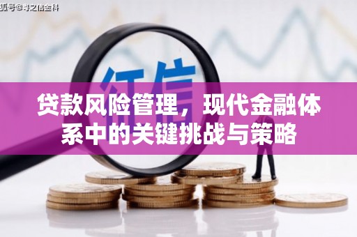 黄石港贷款风险管理，现代金融体系中的关键挑战与策略