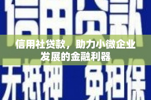 黄石港信用社贷款，助力小微企业发展的金融利器
