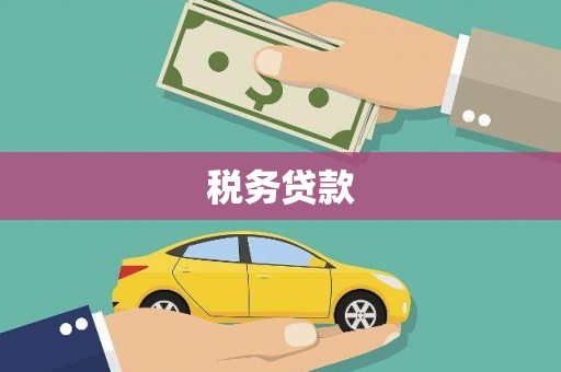 黄石港税务贷款