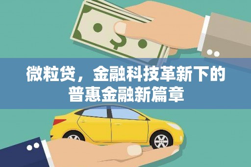 黄石港微粒贷，金融科技革新下的普惠金融新篇章
