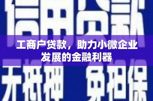 黄石港工商户贷款，助力小微企业发展的金融利器