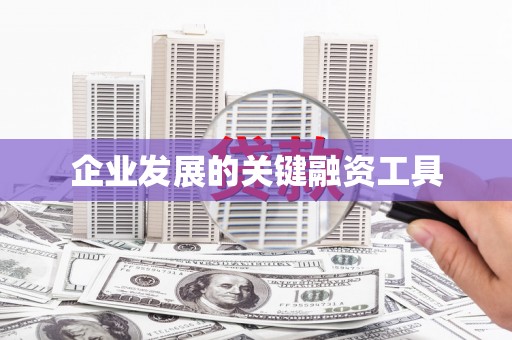 黄石港企业发展的关键融资工具