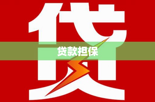 黄石港贷款担保