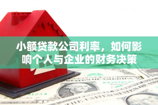 黄石港小额贷款公司利率，如何影响个人与企业的财务决策