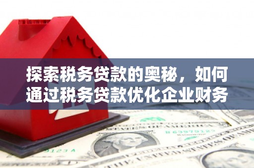 黄石港探索税务贷款的奥秘，如何通过税务贷款优化企业财务
