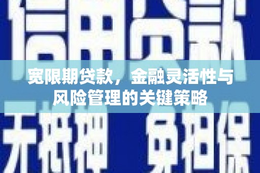 黄石港宽限期贷款，金融灵活性与风险管理的关键策略