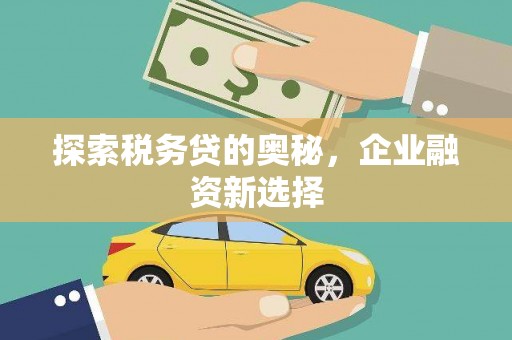黄石港探索税务贷的奥秘，企业融资新选择