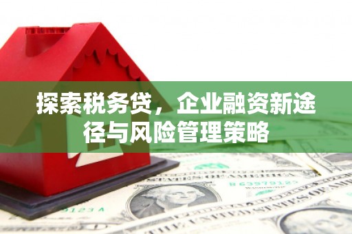 黄石港探索税务贷，企业融资新途径与风险管理策略