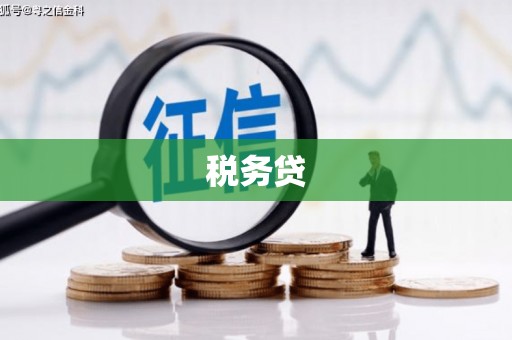 黄石港税务贷