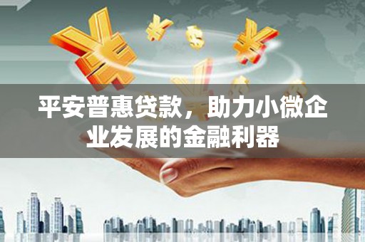 黄石港平安普惠贷款，助力小微企业发展的金融利器