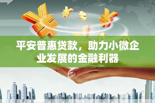 黄石港平安普惠贷款，助力小微企业发展的金融利器