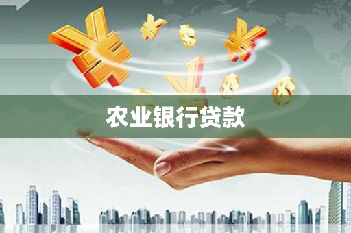 黄石港农业银行贷款