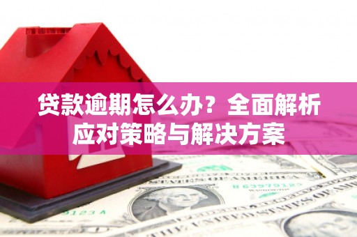 黄石港贷款逾期怎么办？全面解析应对策略与解决方案