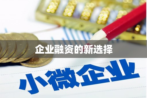 黄石港企业融资的新选择