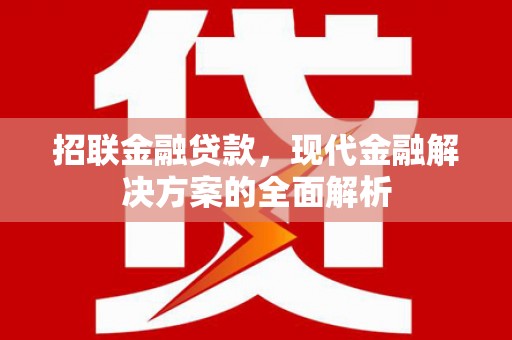 黄石港招联金融贷款，现代金融解决方案的全面解析