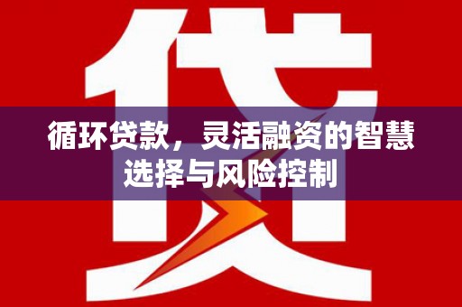 黄石港循环贷款，灵活融资的智慧选择与风险控制