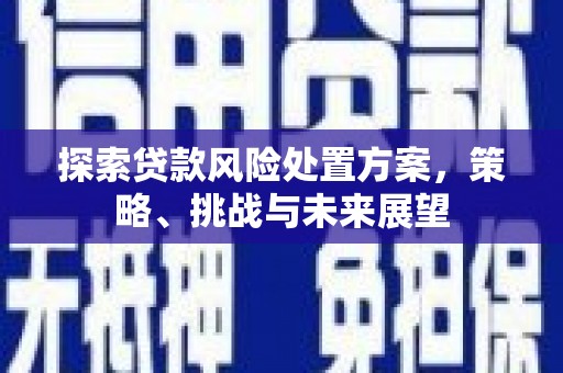 黄石港探索贷款风险处置方案，策略、挑战与未来展望